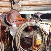 Cover image of Western Saddle